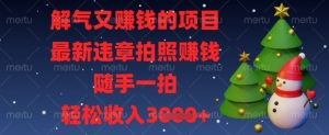 解气又挣钱的项目，最新违章拍照挣钱，随手一拍，轻松收入数张【揭秘】-大齐资源站