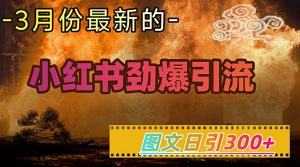 小红书超劲爆引流手段，图文日引300+轻松变现1W-大齐资源站