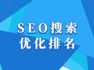 抖音搜索SEO教程，抖音SEO搜索优化排名-大齐资源站