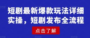 短剧最新爆款玩法详细实操,短剧发布全流程-大齐资源站