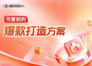 天猫电商爆款运营,可复制的爆款打造方案(线下内训课录音+字幕)-大齐资源站