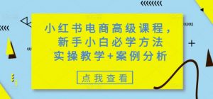 小红书电商高级课程，新手小白必学方法，实操教学+案例分析-大齐资源站