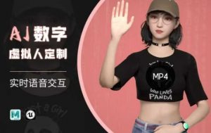 Ai数字人虚拟(智能体)实时语音交互特训营，​自行定制超写实角色AI数字人交互技术-大齐资源站