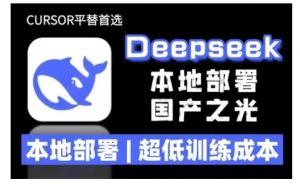 2025年deepseek R1 大型模型本地安装部署(文件+教程)本地部署，超低训练成本-大齐资源站