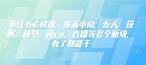 小红书必修课，覆盖电商，无人，获客，种草，mcn，直播等多个板块，看了就能干-大齐资源站