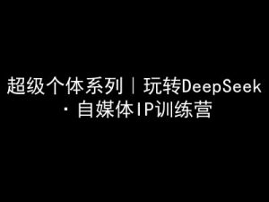 超级个体系列，玩转DeepSeek·自媒体IP训练营，deepseek教程-大齐资源站