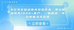 小红书全自动曝光引流技术，单日精准曝光1000+客户，一键启动，小白也能当天引流【揭秘】-大齐资源站