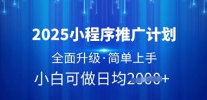 2025小程序推广计划，全面升级，简单上手，日均多张【揭秘】-大齐资源站