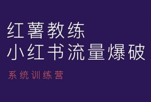 红薯教练-小红书内容运营课，小红书运营学习终点站-大齐资源站