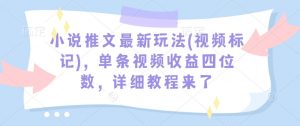 小说推文最新玩法(视频标记)，单条视频收益四位数，详细教程来了-大齐资源站
