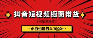 抖音短视频食品橱窗带货，小白轻松上手日入1k+【揭秘】-大齐资源站