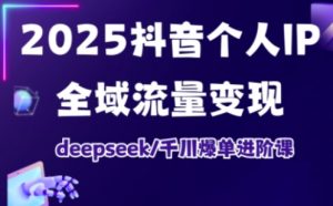 2025抖音个人IP全域流量变现进阶课，deepseek千川爆单进阶课-大齐资源站