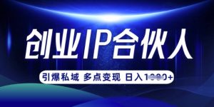 云帆·创业ip合伙人打造3.0，从0到1教你做网创，实现月入过W-大齐资源站