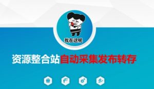 资源整合站自动采集发布转存，解放双手-大齐资源站