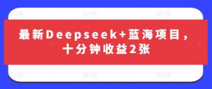 最新Deepseek+蓝海项目，十分钟收益2张-大齐资源站