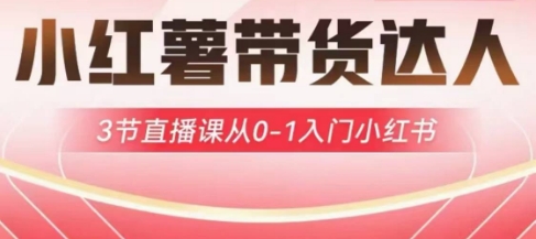 小红薯达人带货启航计划，3节直播课从0-1入门小红书-大齐资源站