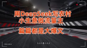 用DeepSeek写小生意做流量主，篇篇都是大爆文-大齐资源站