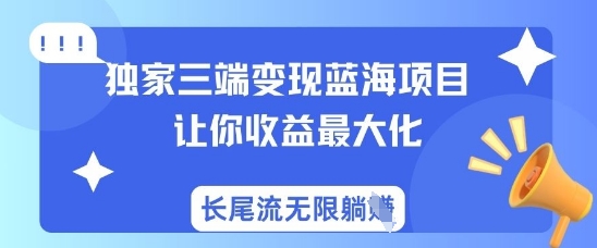 独家三端变现蓝海项目，让你收益最大化，长尾流无限躺挣-大齐资源站