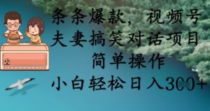 条条爆款，视频号夫妻搞笑对话项目，简单操作，小白轻松日入3张+-大齐资源站