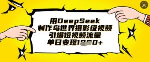 用DeepSeek制作鸟世界摄影级视频，引爆短视频流量，单日变现1k-大齐资源站