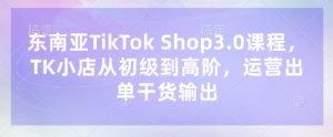 东南亚TikTok Shop3.0课程，TK小店​从初级到高阶，运营出单干货输出-大齐资源站
