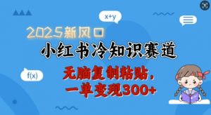 2025新风口，小红书冷知识赛道，无脑复制粘贴，一单变现300+-大齐资源站