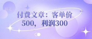 付费文章：客单价500，利润300-大齐资源站