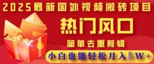 2025最新视频搬砖项目，热门风口，简单去重剪辑，小白也能轻松月入过W-大齐资源站