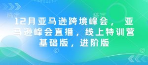 12月亚马逊跨境峰会， 亚马逊峰会直播，线上特训营基础版，进阶版-大齐资源站