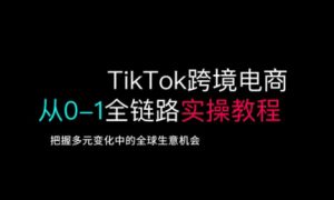 TikTok跨境电商从0-1全链路全方位实操教程，把握多元变化中的全球生意机会-大齐资源站