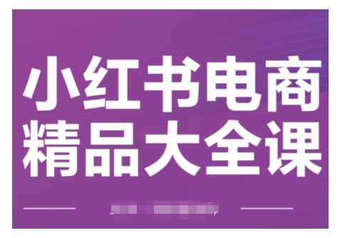 小红书电商精品大全课，快速掌握小红书运营技巧，实现精准引流与爆单目标，轻松玩转小红书电商(更新2月)-大齐资源站