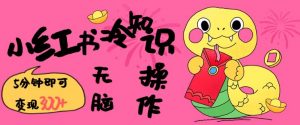 小红书冷知识账号,无脑复制粘贴,5分钟即可变现3张-大齐资源站