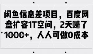 闲鱼信息差项目,百度网盘扩容1T空间,2天收益1k+,人人可做0成本-大齐资源站