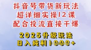 2025全新升级抖音带货玩法,一天纯利四位数,从剪辑到选品再到发布投流,超详细玩法揭秘-大齐资源站