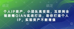 个人IP资产，小团队高变现，互联网全链路赚QIAN实战打法，助你打造个人IP，实现资产不断增值-大齐资源站