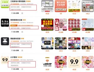 0成本虚拟项目实战手把手教你落地，单店月入5k-大齐资源站