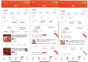 2025最新京东蓝海项目，0 门槛日入 1k+，小白宝妈轻松上手【揭秘】-大齐资源站