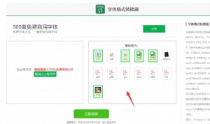 WordPress网站字体自定义美化教程-大齐资源站
