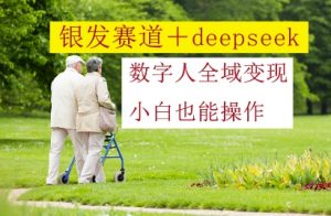 银发赛道+deepseek数字人全域变现，小白也能操作-大齐资源站