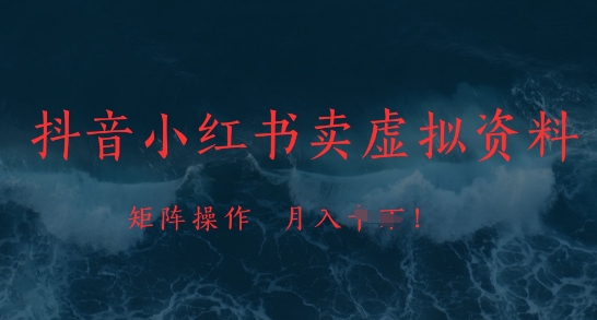 抖音小红书卖虚拟资料，市场需求一直存在，矩阵操作，月入1w+-大齐资源站