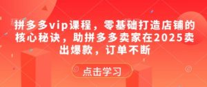 拼多多vip课程,零基础打造店铺的核心秘诀,助拼多多卖家在2025卖出爆款,订单不断-大齐资源站