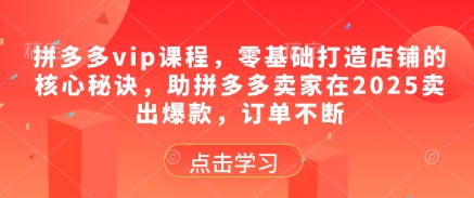 拼多多vip课程，零基础打造店铺的核心秘诀，助拼多多卖家在2025卖出爆款，订单不断-大齐资源站