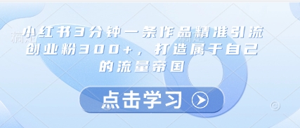 小红书3分钟一条作品精准引流创业粉300+，打造属于自己的流量帝国-大齐资源站