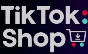 TikTokShop跨境电商0-1实战，手把手教你低成本启动海外市场（更新）-大齐资源站
