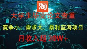 大学生毕业论文查重，暴利蓝海项目，月收入过1W+-大齐资源站