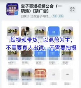宝子哥头部团队短视频带货，以混剪为主，不需要真人出镜，不需要拍摄-大齐资源站