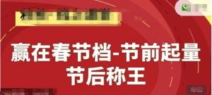 赢在春节档-节前起量，后称王，淘系精品线上系列课-大齐资源站