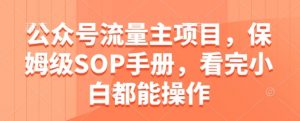 公众号流量主项目，保姆级SOP手册，看完小白都能操作-大齐资源站
