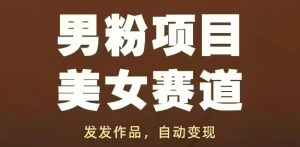 男粉项目美女赛道，发发作品，轻松获流自动变现-大齐资源站
