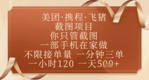 飞猪美团截图项目，你只管截图，一部手机在家做，正规平台无套路，一天5张+【揭秘】-大齐资源站